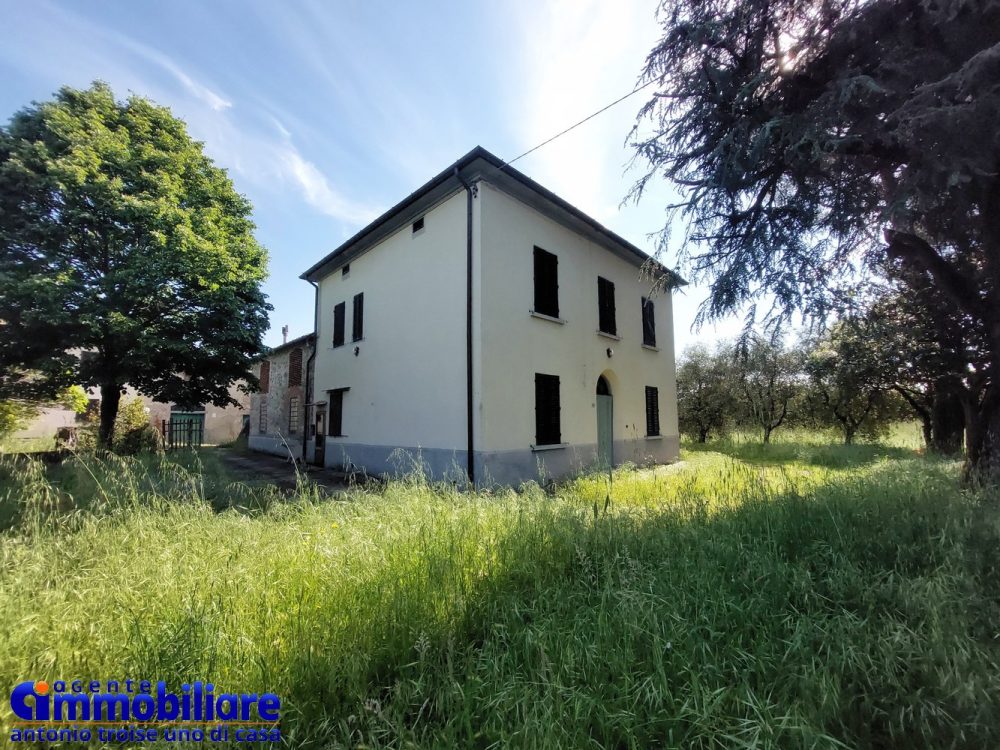 pistoia vendesi casa colonica con terreno 5