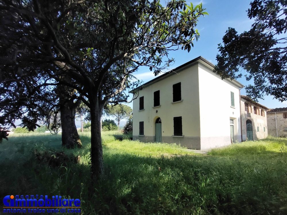 pistoia vendesi casa colonica con terreno 6