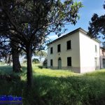 pistoia vendesi casa colonica con terreno 6