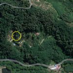 montecatini terme nievole vendesi casa con terreno bosco ulivi 3