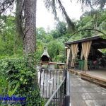 montecatini terme nievole vendesi casa con terreno bosco ulivi 7