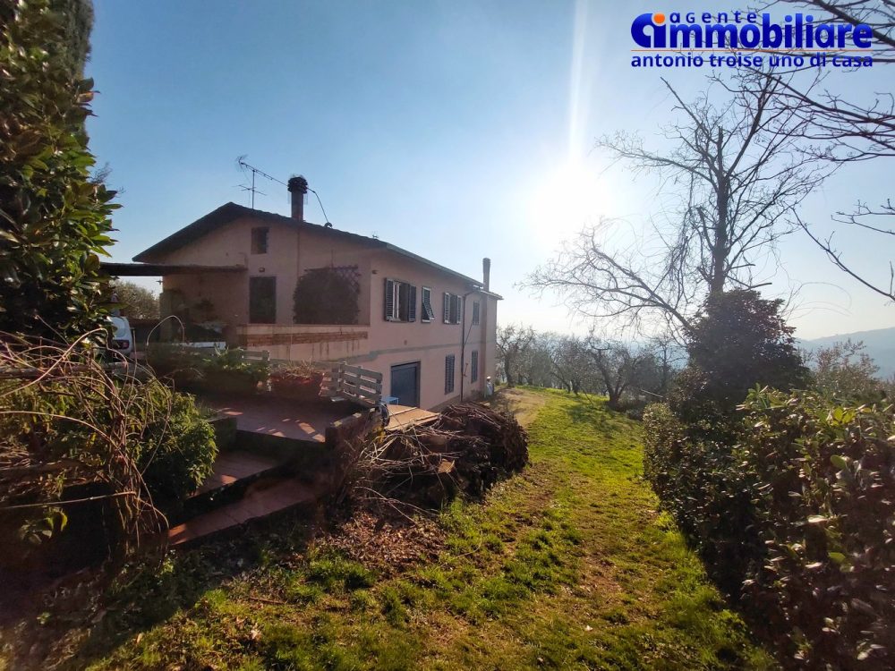 montecatini-terme-collinare-casa-terreno-olivi-panoramica-soleggiata-sogno 17