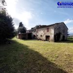 monsummano-terme-vendita-casa-rustico-colonica-terreno 10