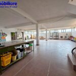 serravalle-pistoiese-vendita-immobile-terreno 21