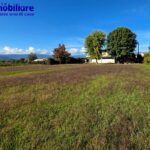serravalle-pistoiese-vendita-immobile-terreno 4
