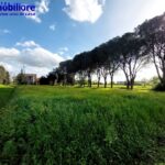 monsummano-terme-vendita-casa-rustico-colonica-terreno