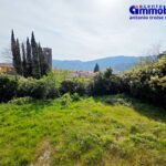 pistoia-cireglio-vendesi-villa-bifamiliare-terreno-appartamenti 35