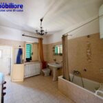 pistoia-vendesi-terra-tetto 12