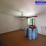 pistoia-vendesi-terra-tetto 26