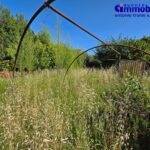 pistoia-vendesi-bifamiliare-garage-giardino 43
