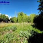 pistoia-vendesi-bifamiliare-garage-giardino 44